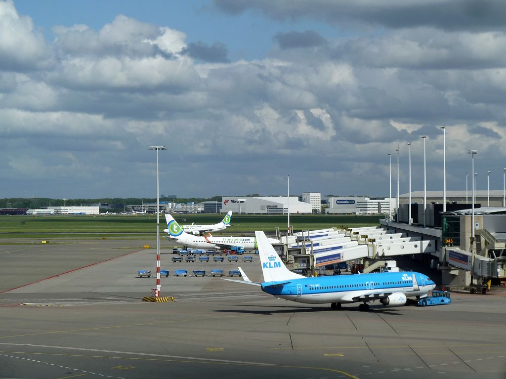 C-D Platform - Amsterdam